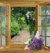 荷甲2024至2025积分榜