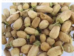 玳n(戴拿奥特曼图片) 玳n(戴拿奥特曼图片)